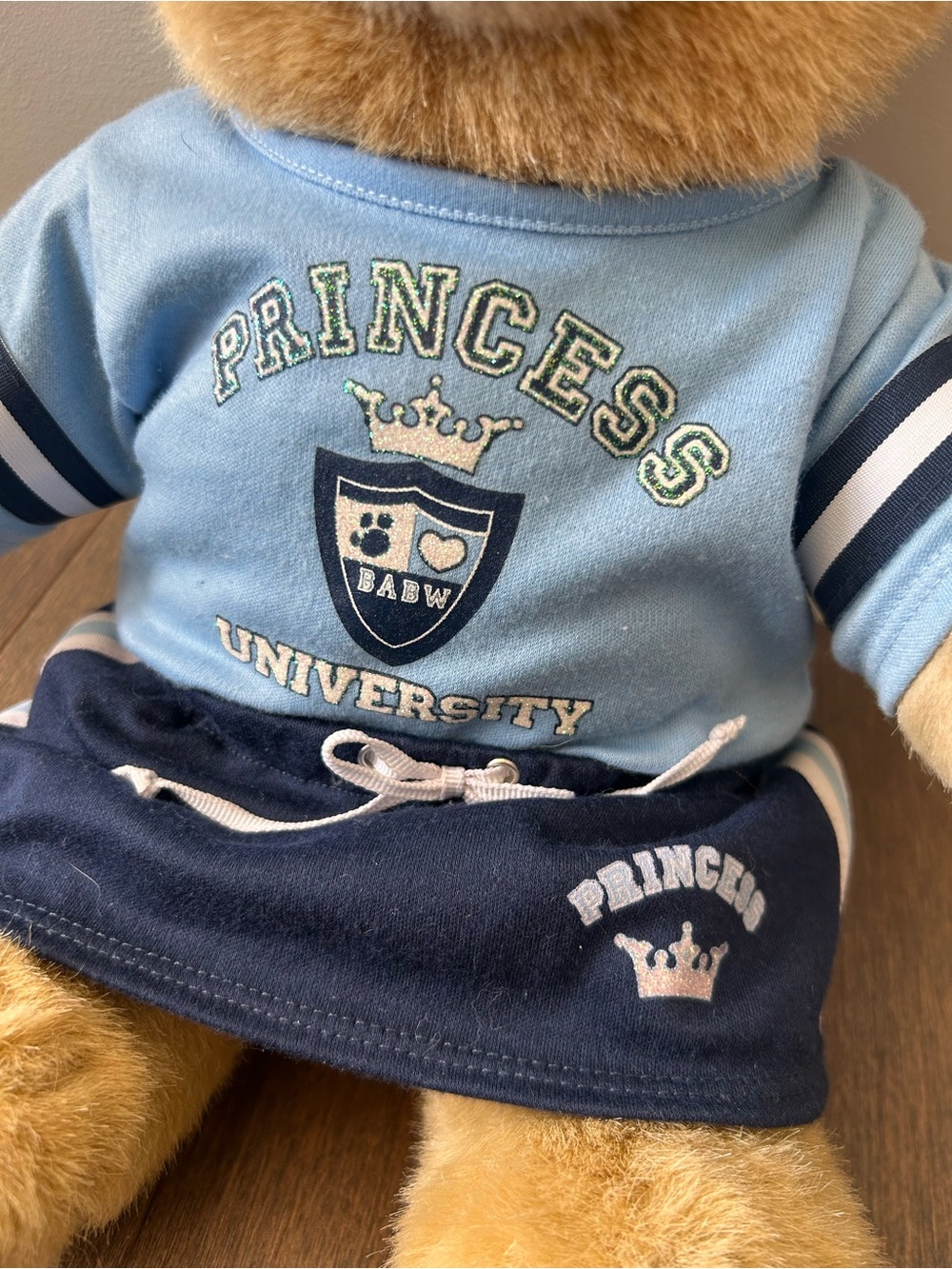 Vintage build a bear with 'Princess University' Outfit - Picture 2 of 6